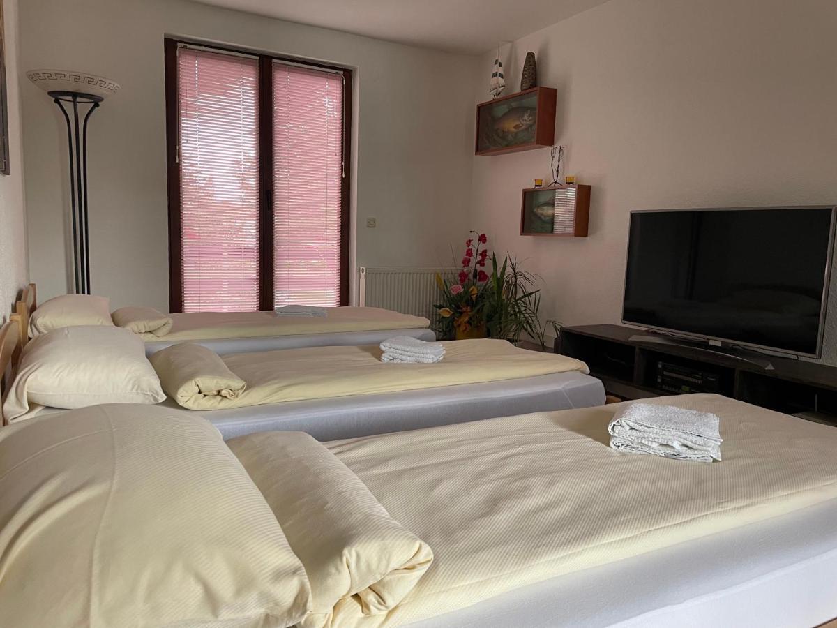 Villa My Island Bihać エクステリア 写真